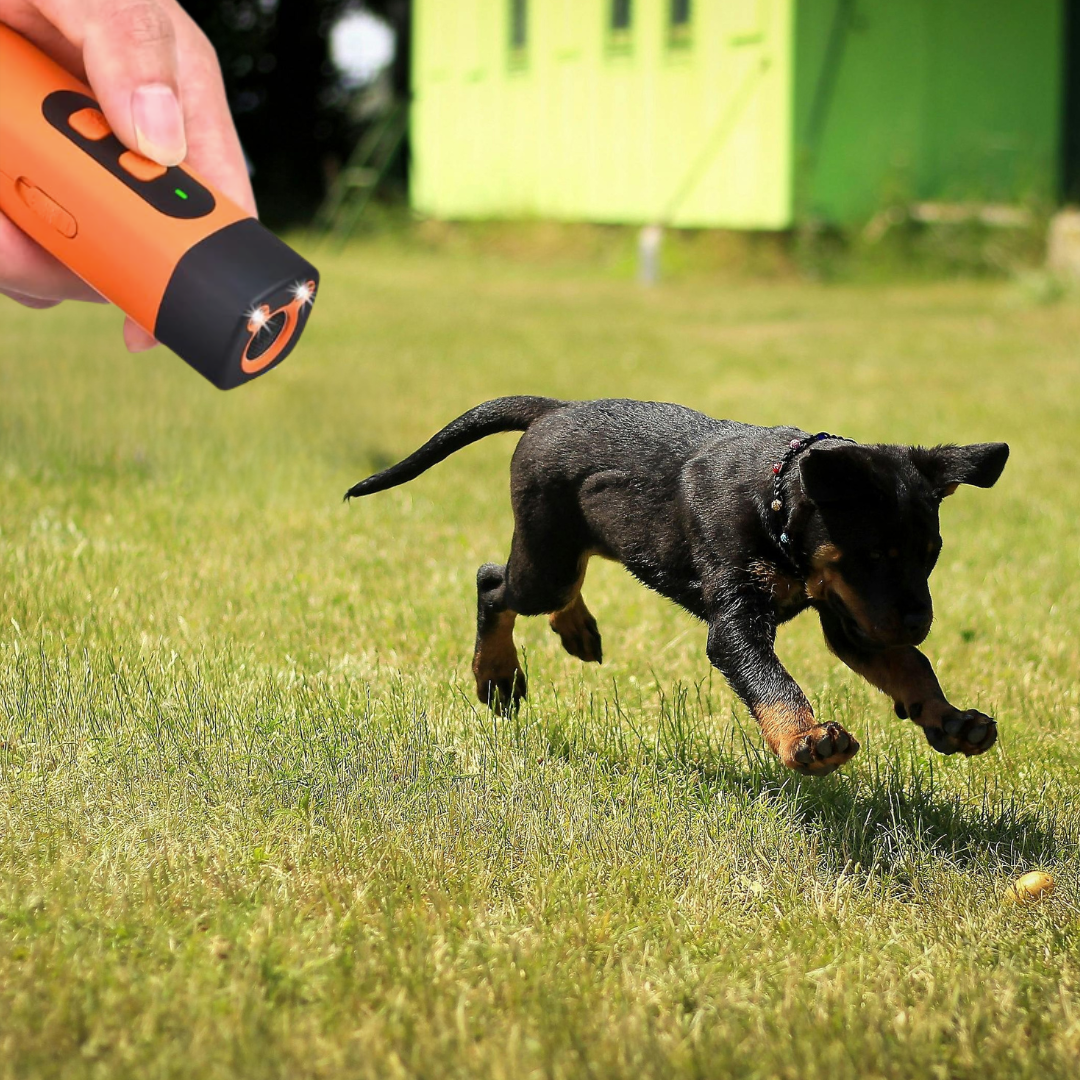 SafePaw - Barkshield